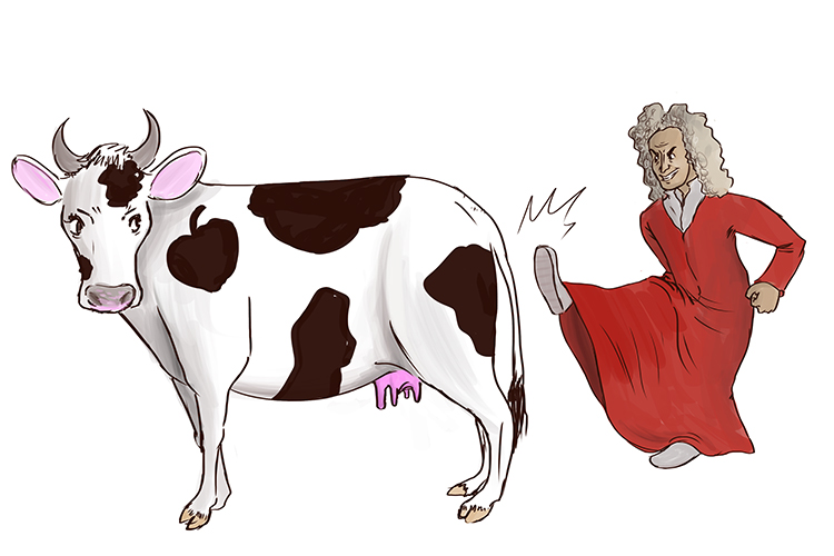 Sir Isaac Newton kicks a cow.
